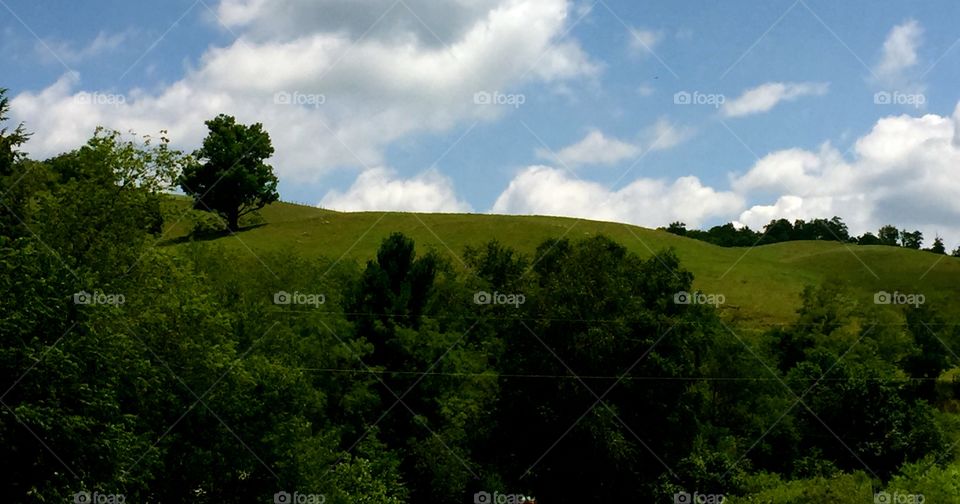 Scenic view of hill
