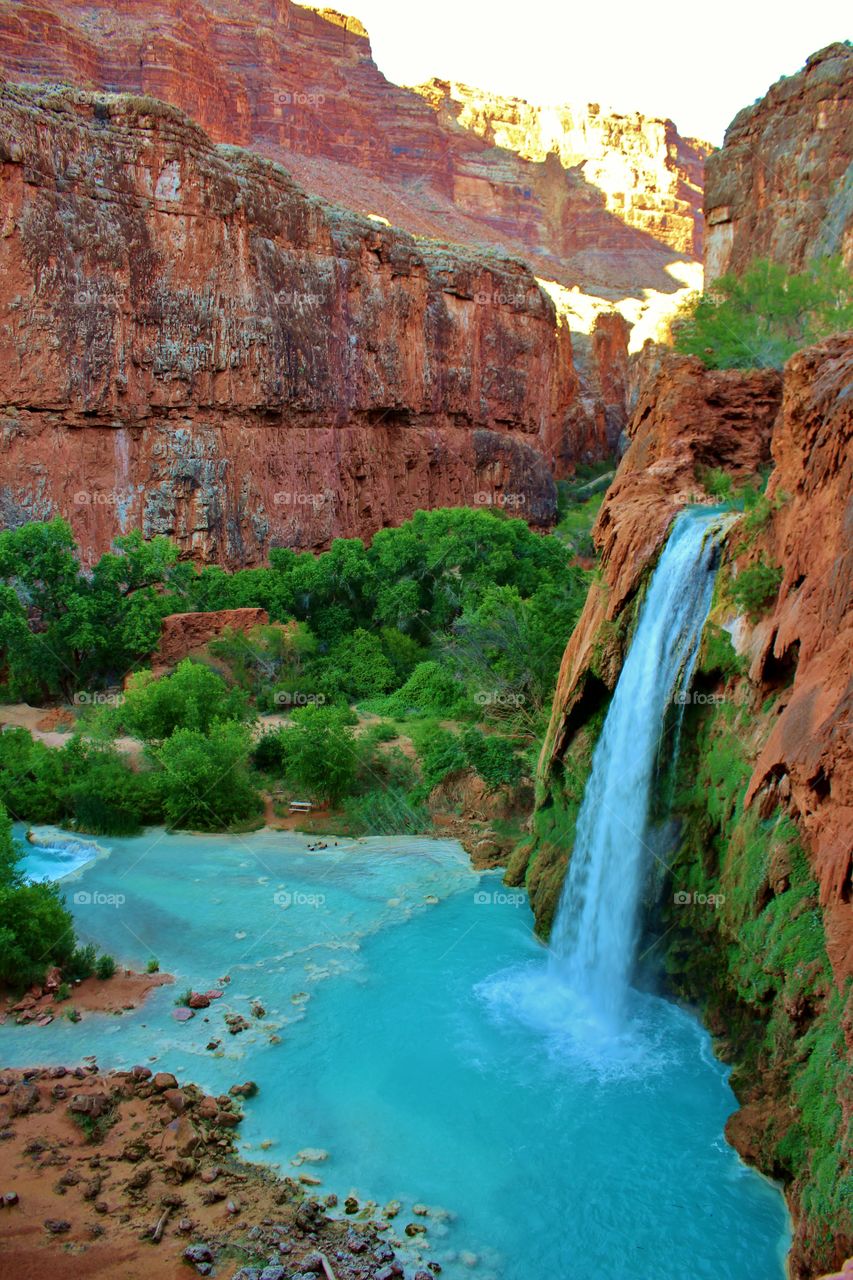 A beautiful desert oasis found deep within the Grand Canyon