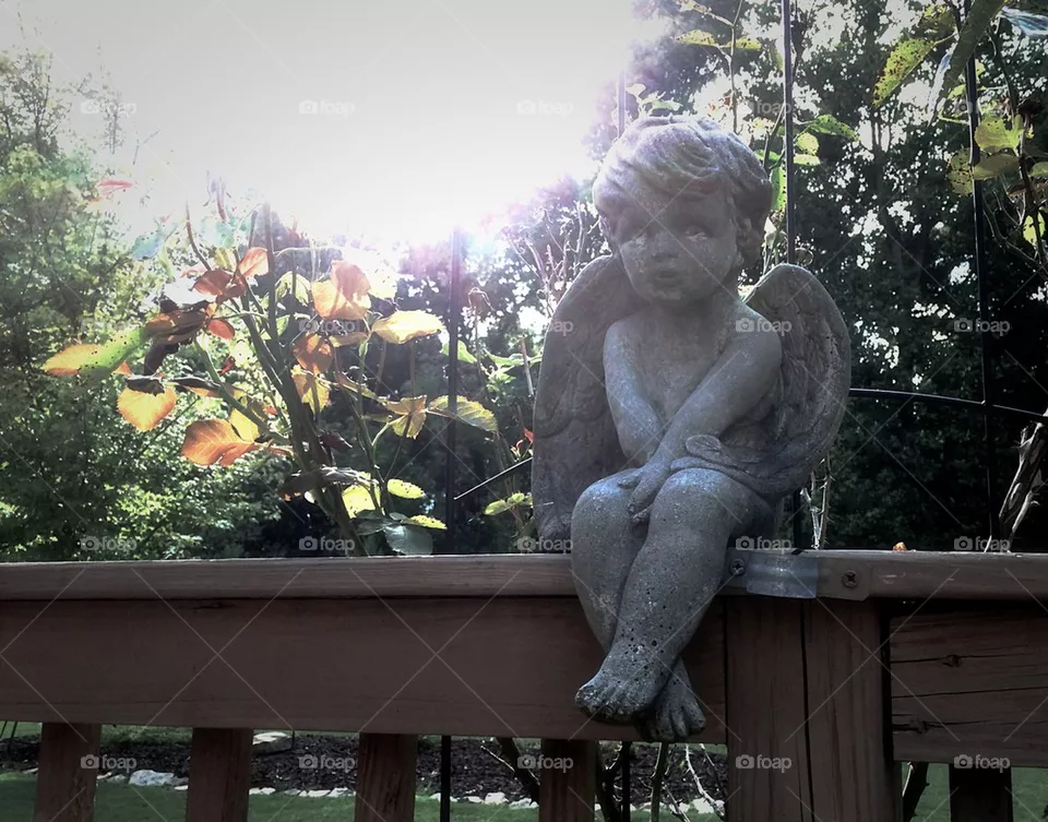 Angel