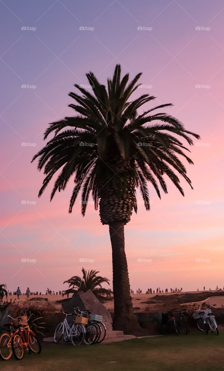 The Wedge in Newport Beach, CA