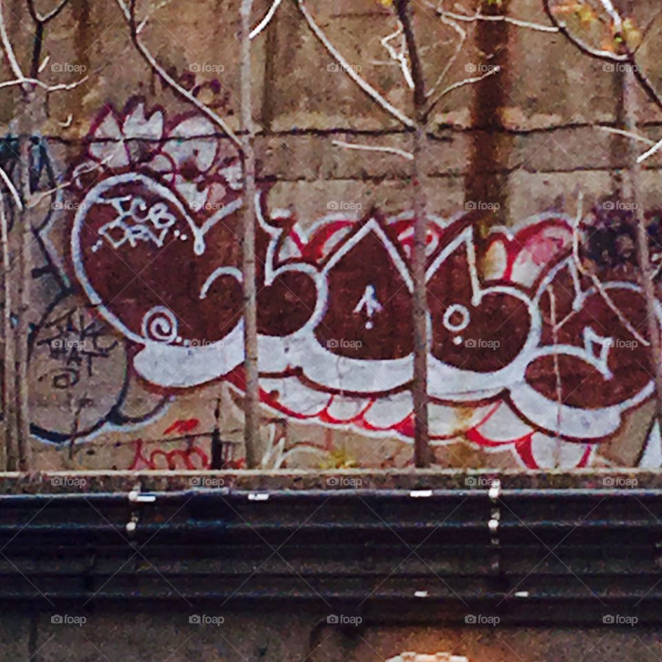 GRAFFITI  IN  THE  CITY