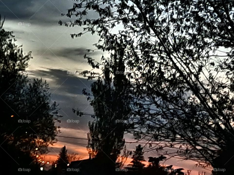 street lamps lit at dusk