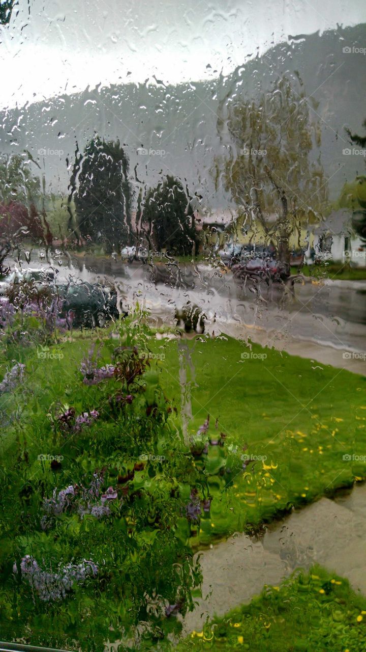 Rain, rain and more rain!