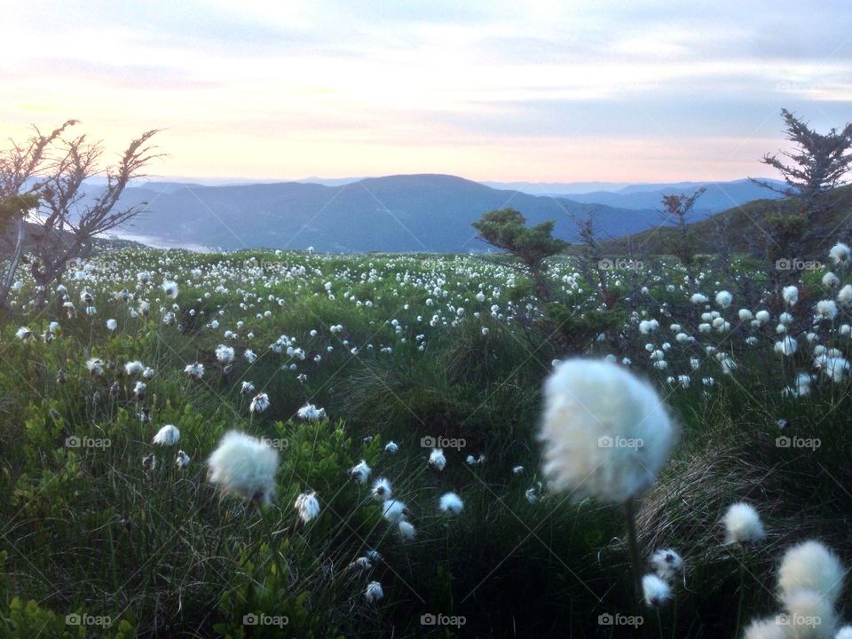 Summer night, Norway