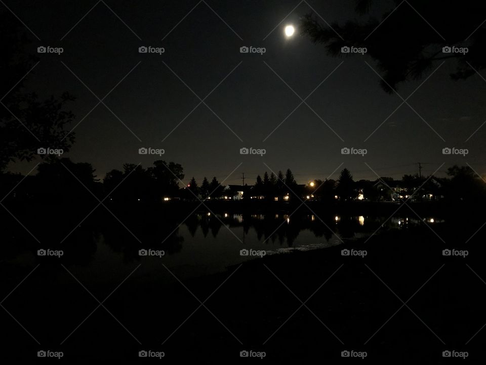 Moon and Pond