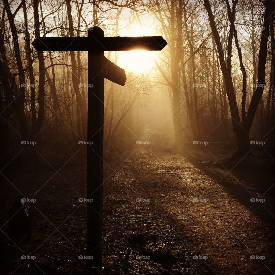 Fog winter woodland walk sign direction sun cold most trees orange glow 