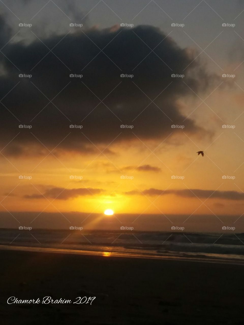 A beautiful sunset on a wild beach.we spent great moments watching seagulls flying and amazing sunset in this beautiful region