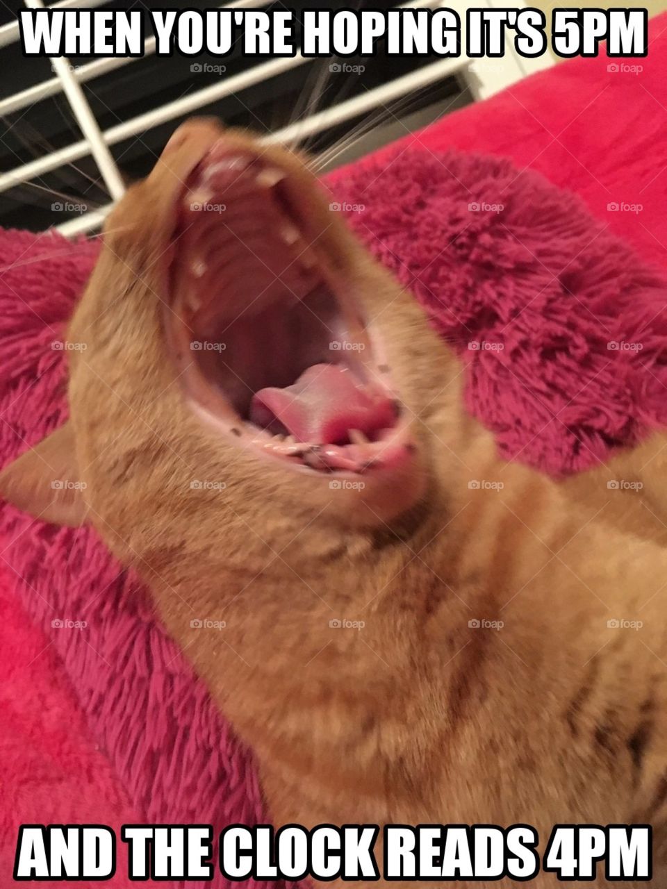 Especially on Fridays 