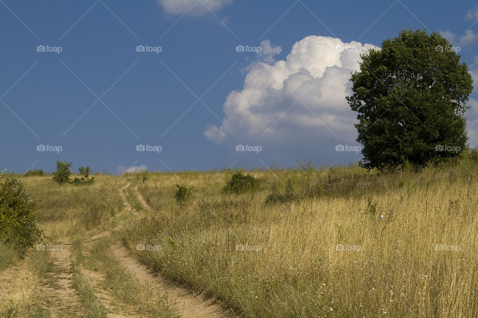 Country road