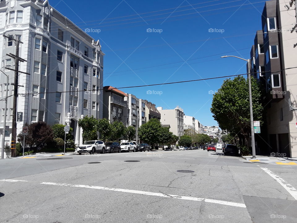 Pacific Heights San Francisco California