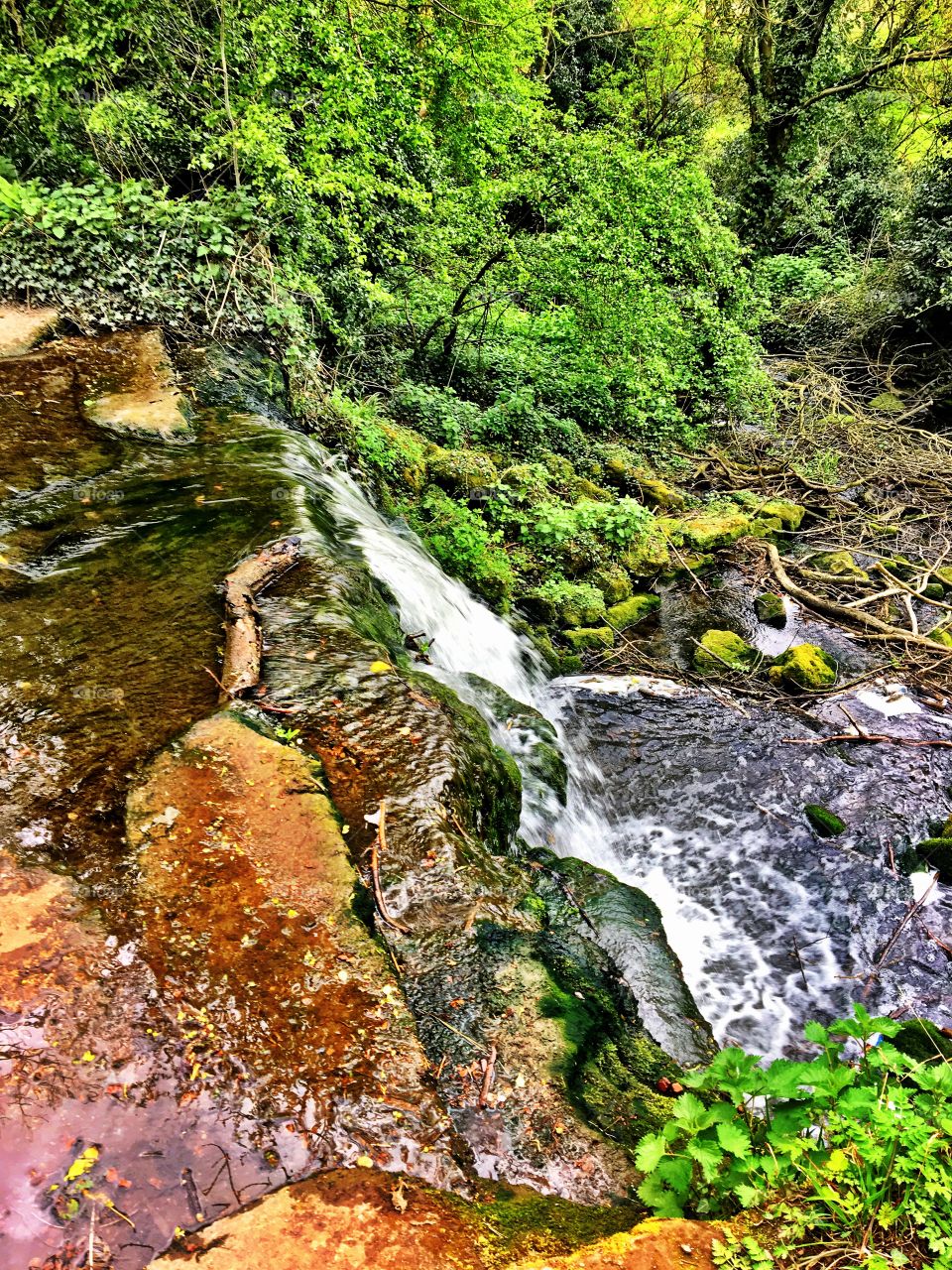 Waterfall in the forest