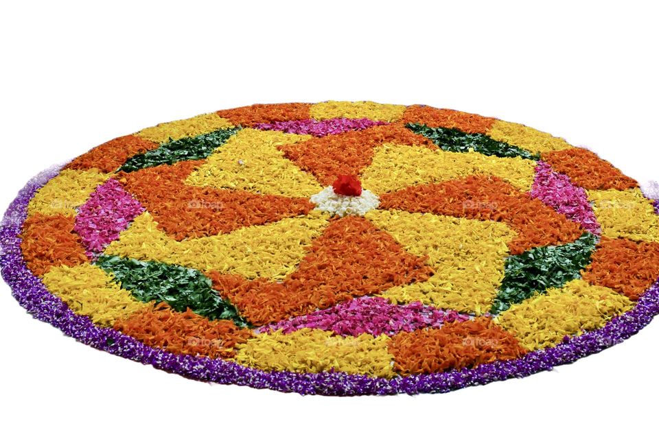 Colors of Autumn 💛