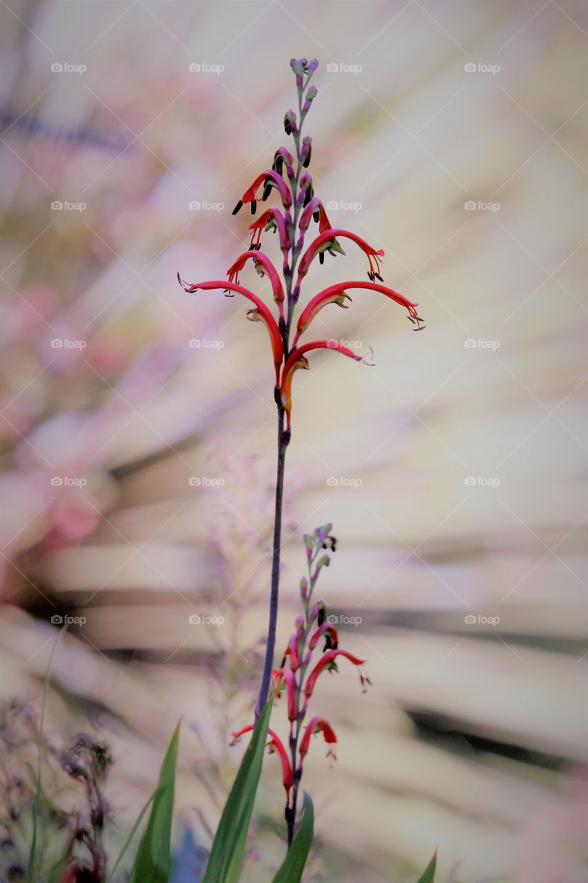 first signs of spring