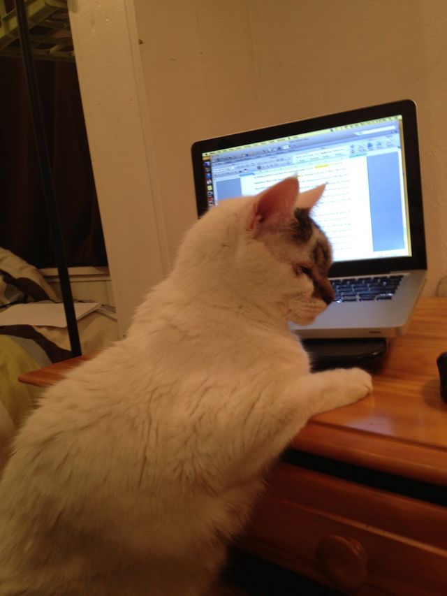 Computer 