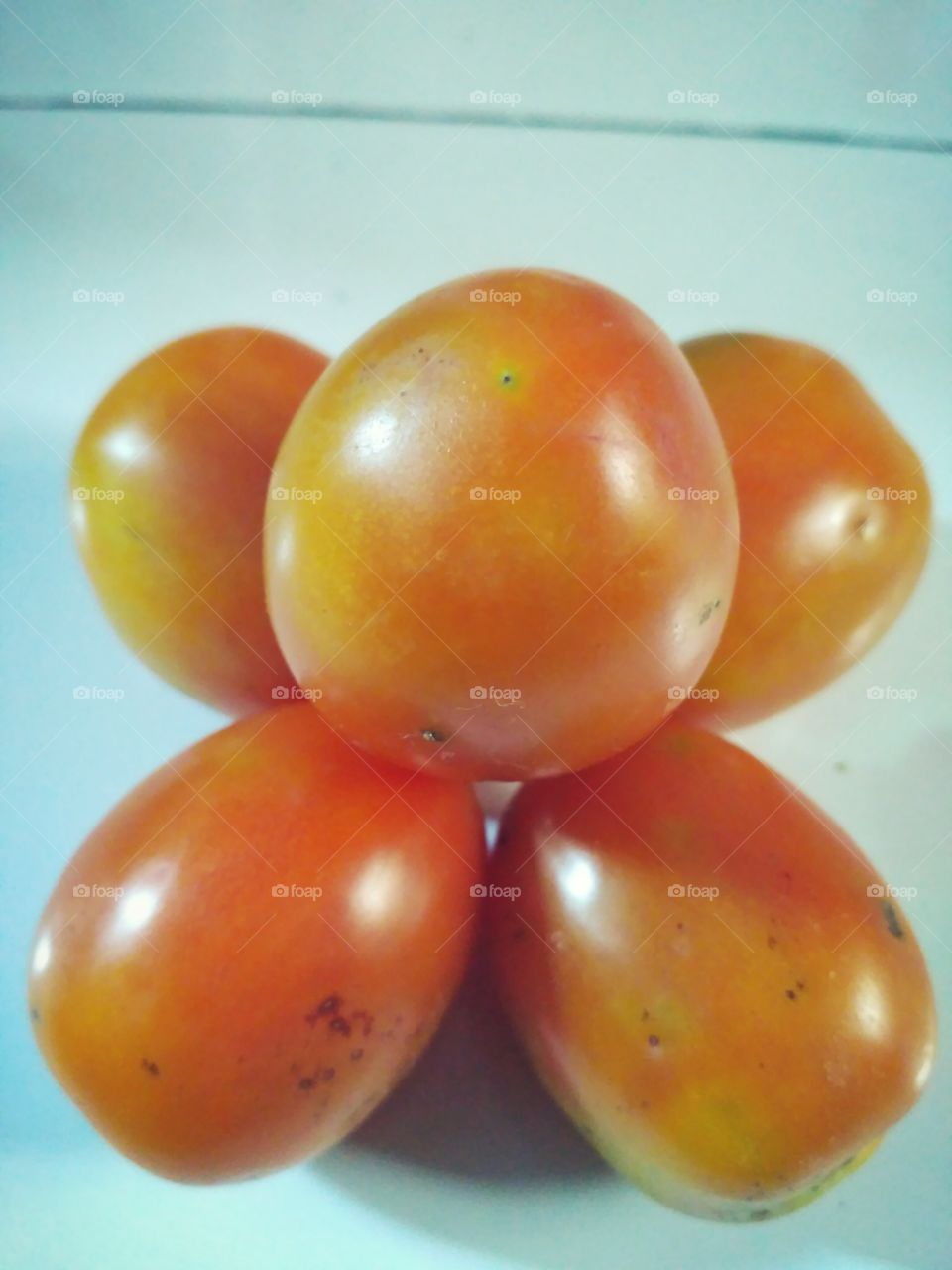 Tomatoes... Lovers... Part II