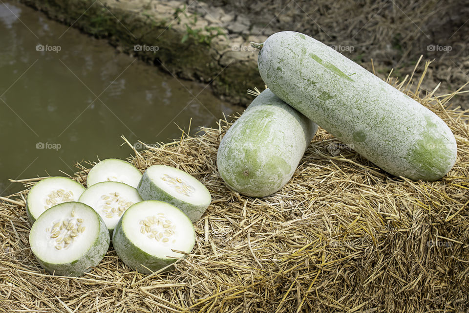 Winter melon is cut into pieces on the straw.