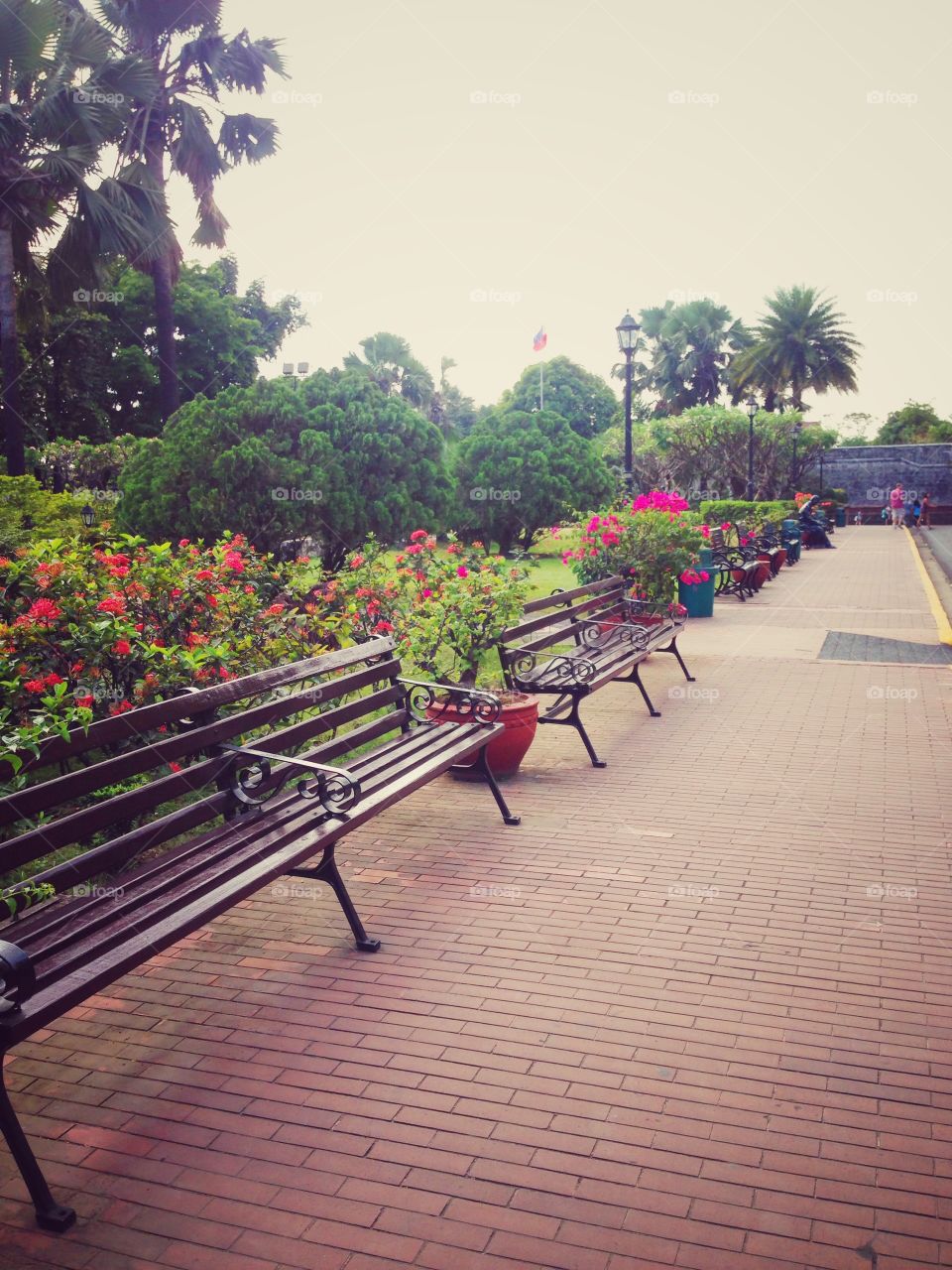 Empty park benches