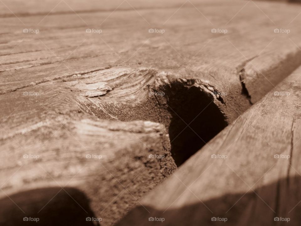 A "hole"some picture