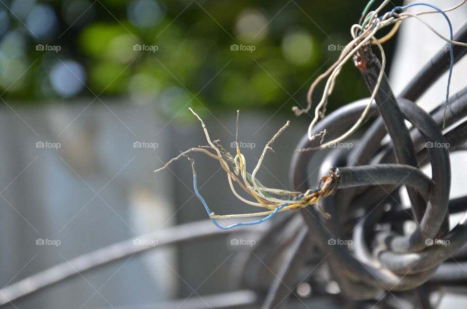 No Person, Nature, Wire, Outdoors, Winter