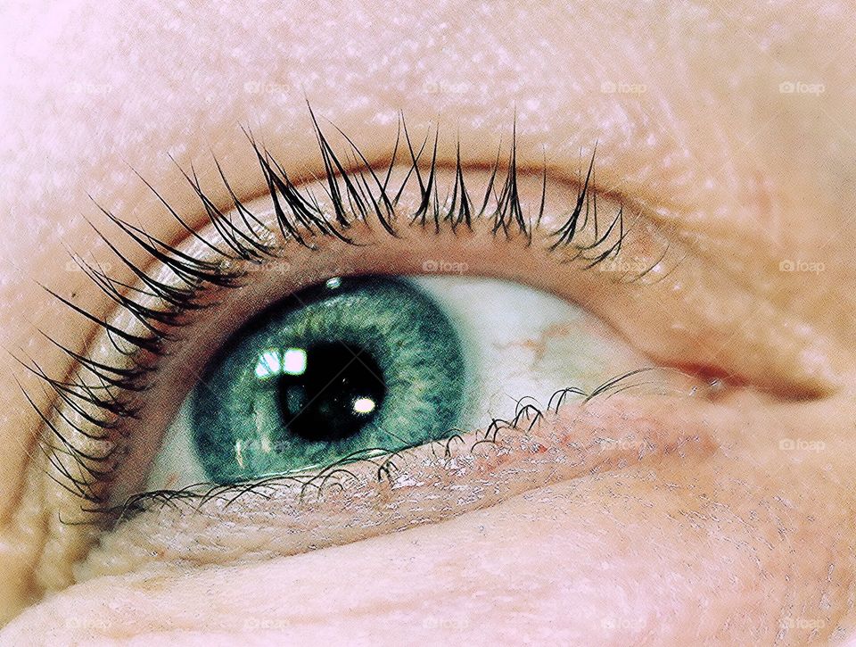 Close-up of human eye