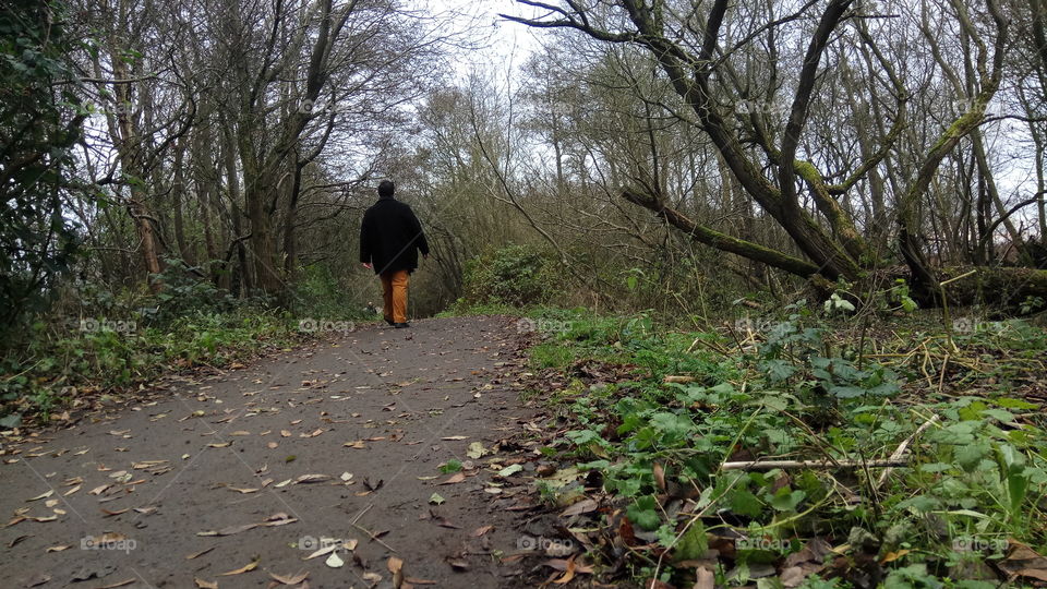 Walking on a path in a dark forest in North Ireland