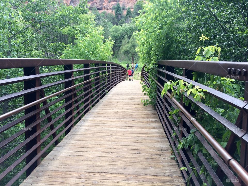 West Fork Bridge, Oak Creek Canyon, Arizona 