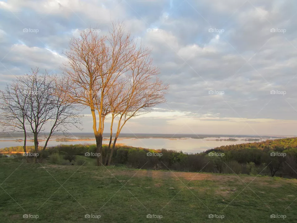 Evening landscape