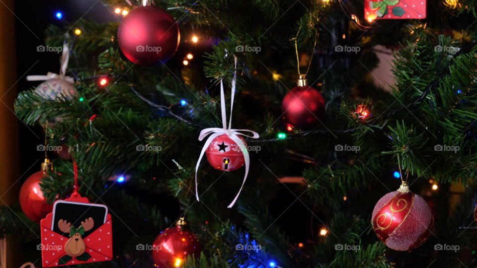 christmas tree, christmas time