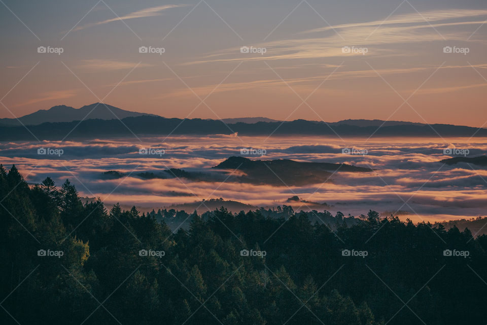 Silky peach tones drape the hills surrounding Mount Tamalpais for an early morning sunrise 