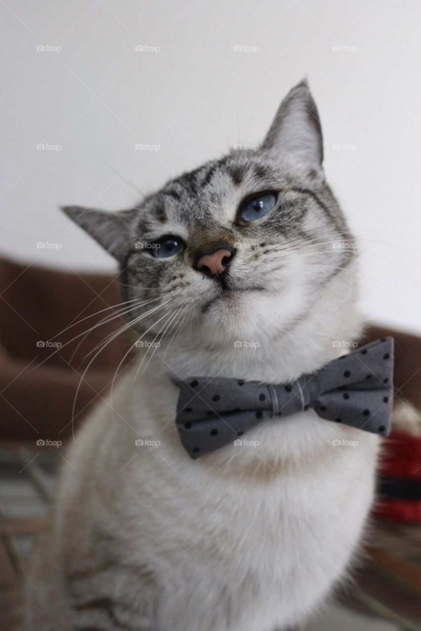 Peeta looking dashing in his bow tie 