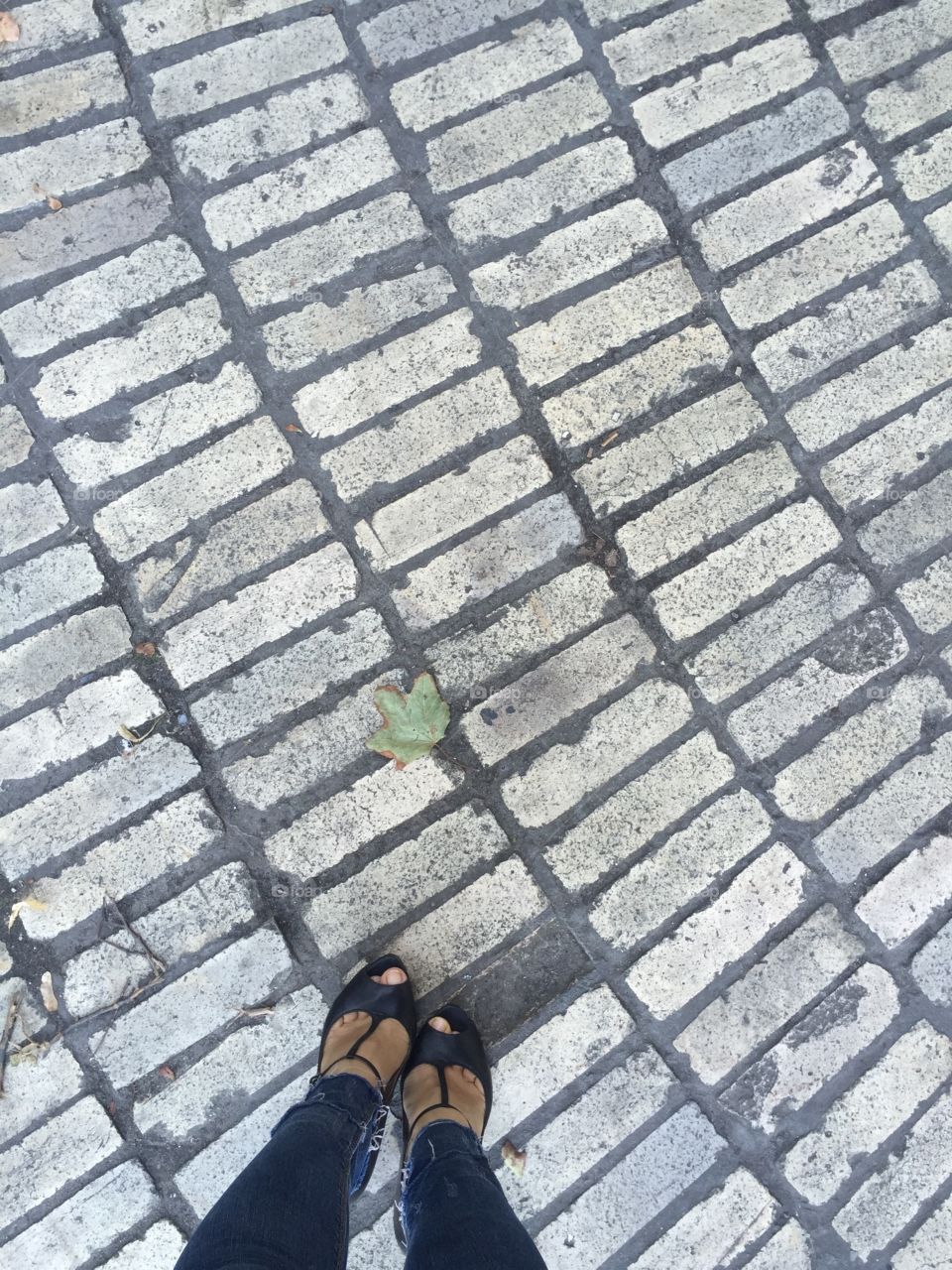 Standing on the bricks in the first day of autumn