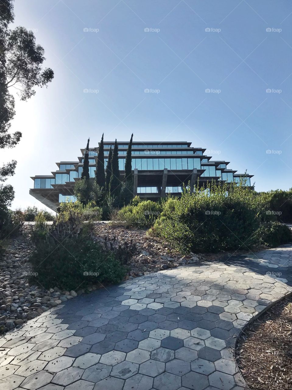 UCSD Library