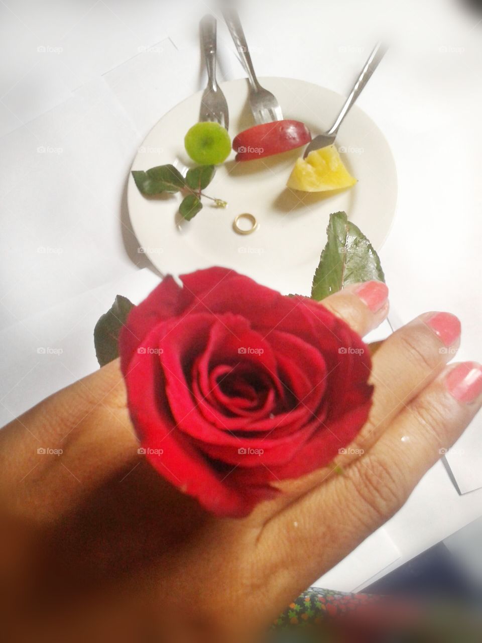 Red rose is love , joy , bright , happy, everything for good , for you