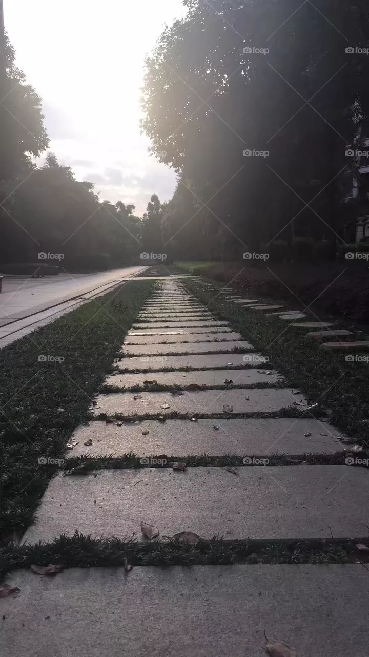 Road and Path