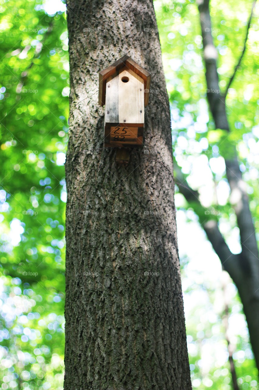 A birdhouse 