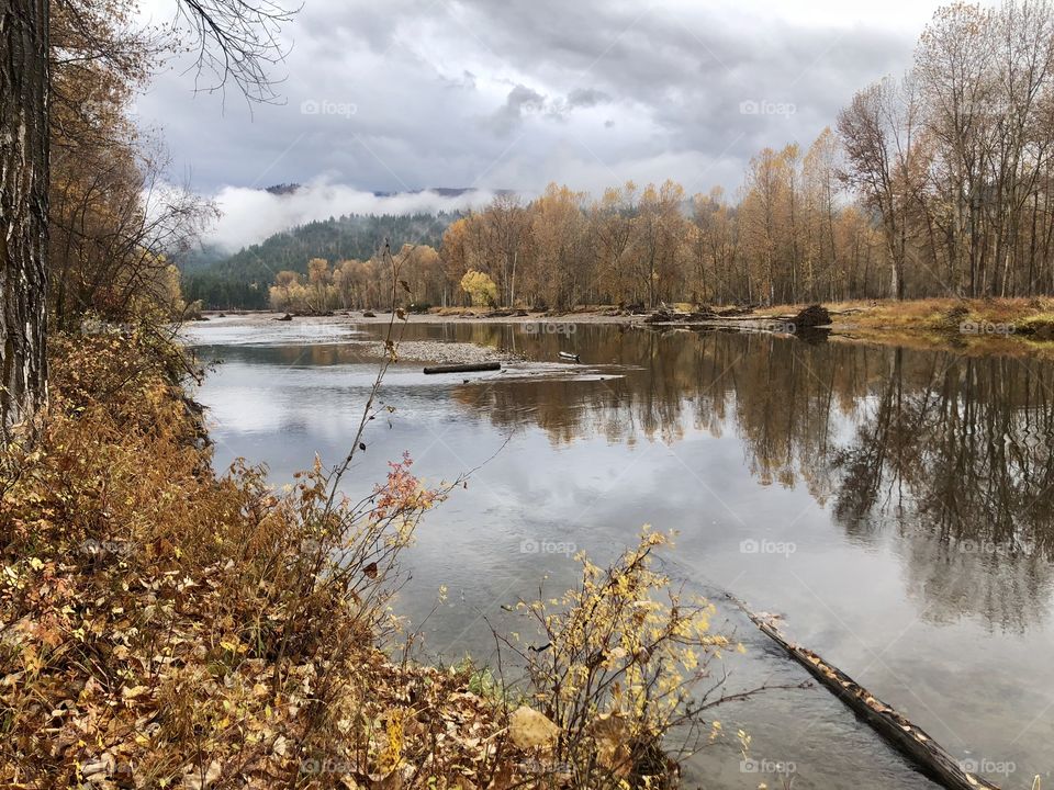 Calm river on a foggy day. 