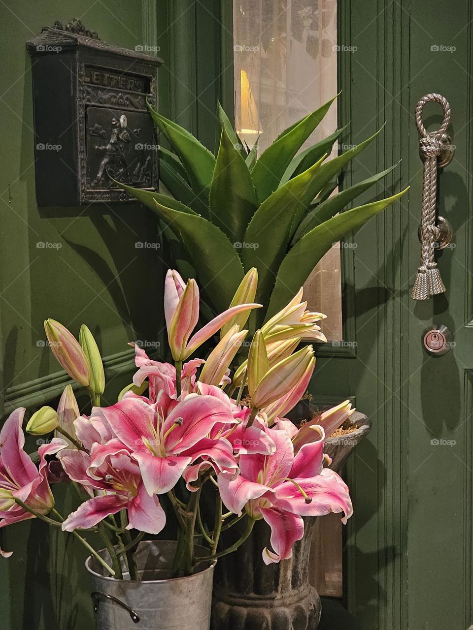 Agave and Pink Casablanca Lily by the door