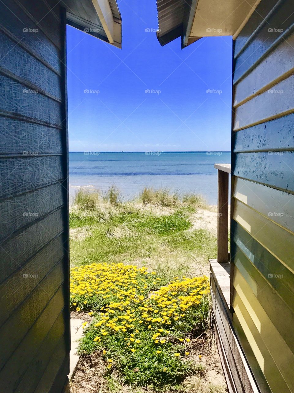 In between the boat sheds looking out to the calm water of the bay