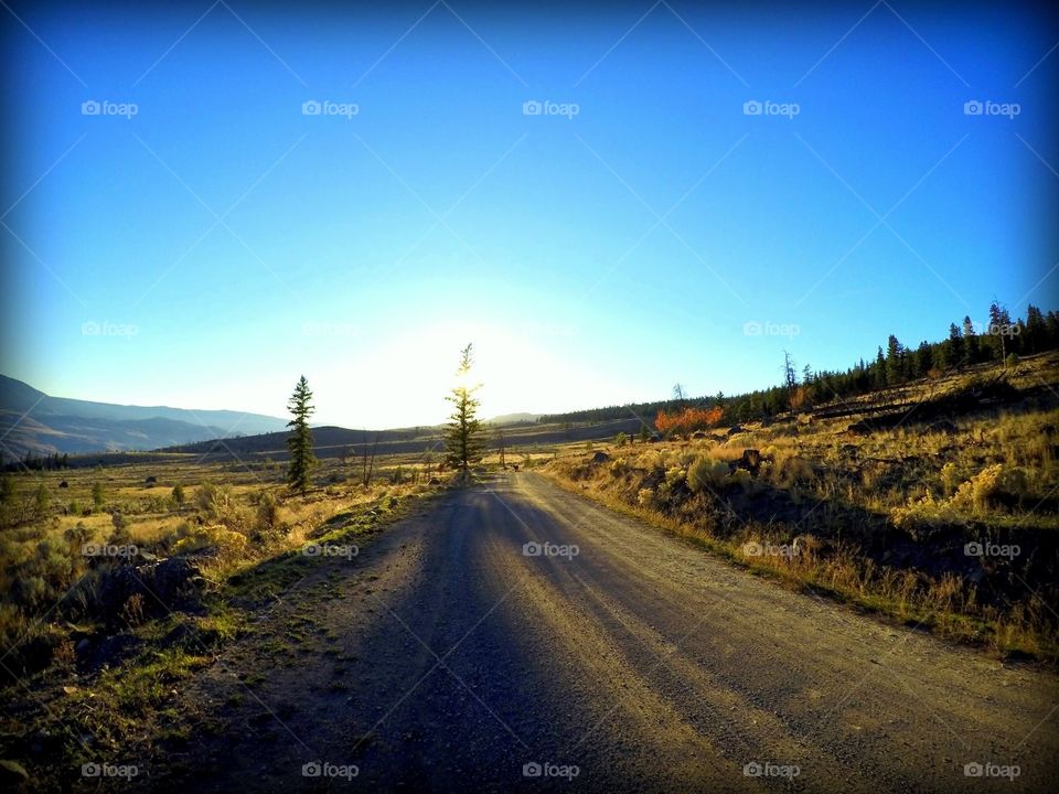Country road driving! 