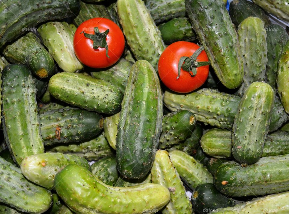 cucumbers and tomato art harvest