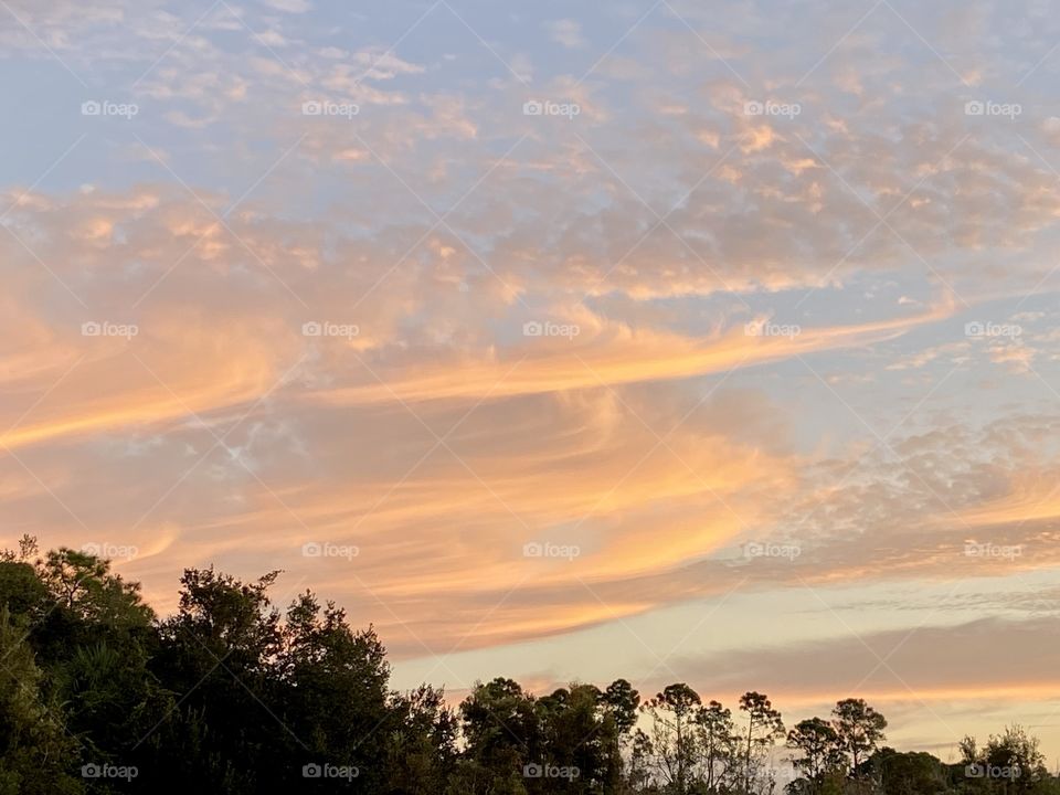 A morning sky at dawn with orange and purple clouds just above a tree line