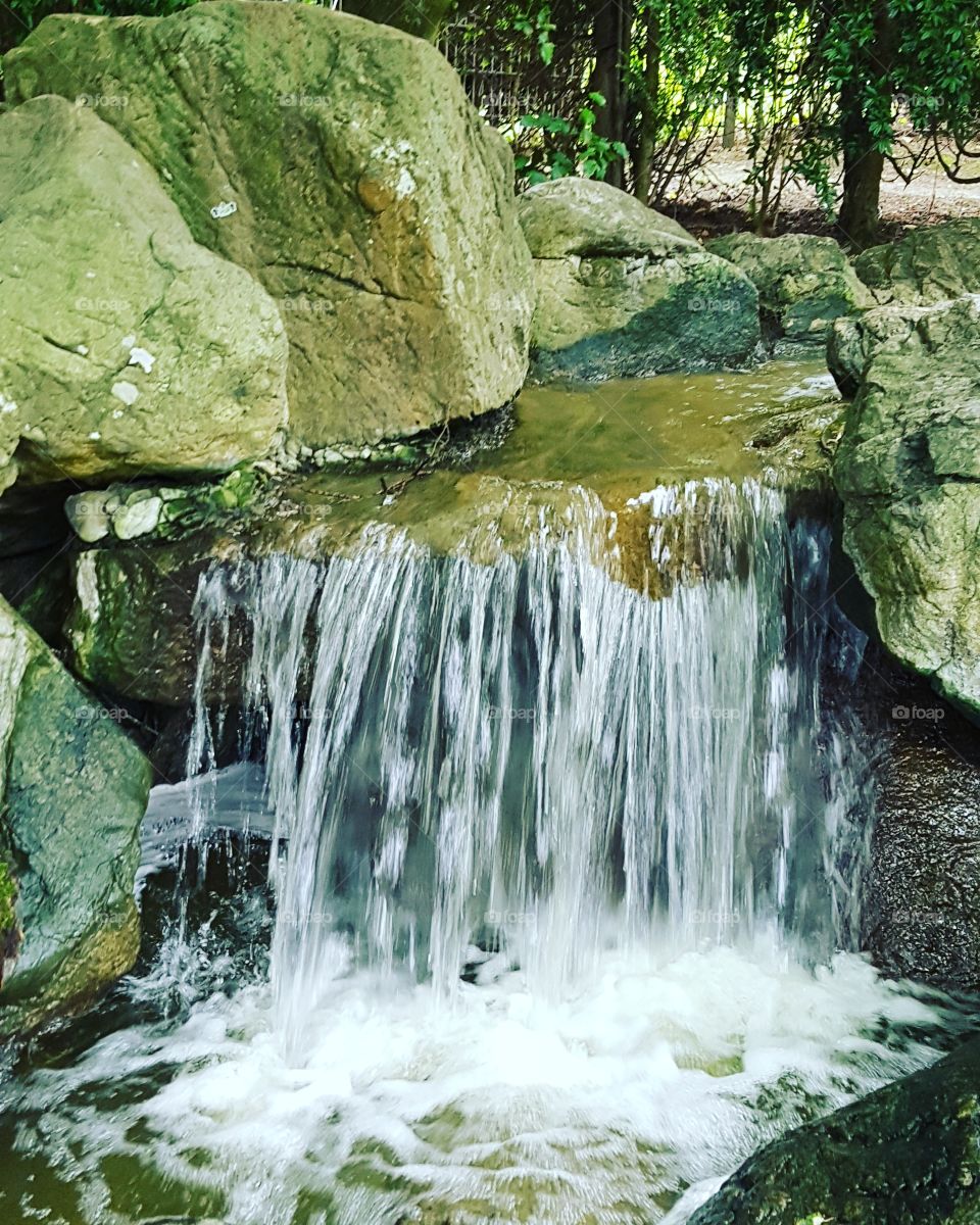 Wasserfall Bonn Rheinaue