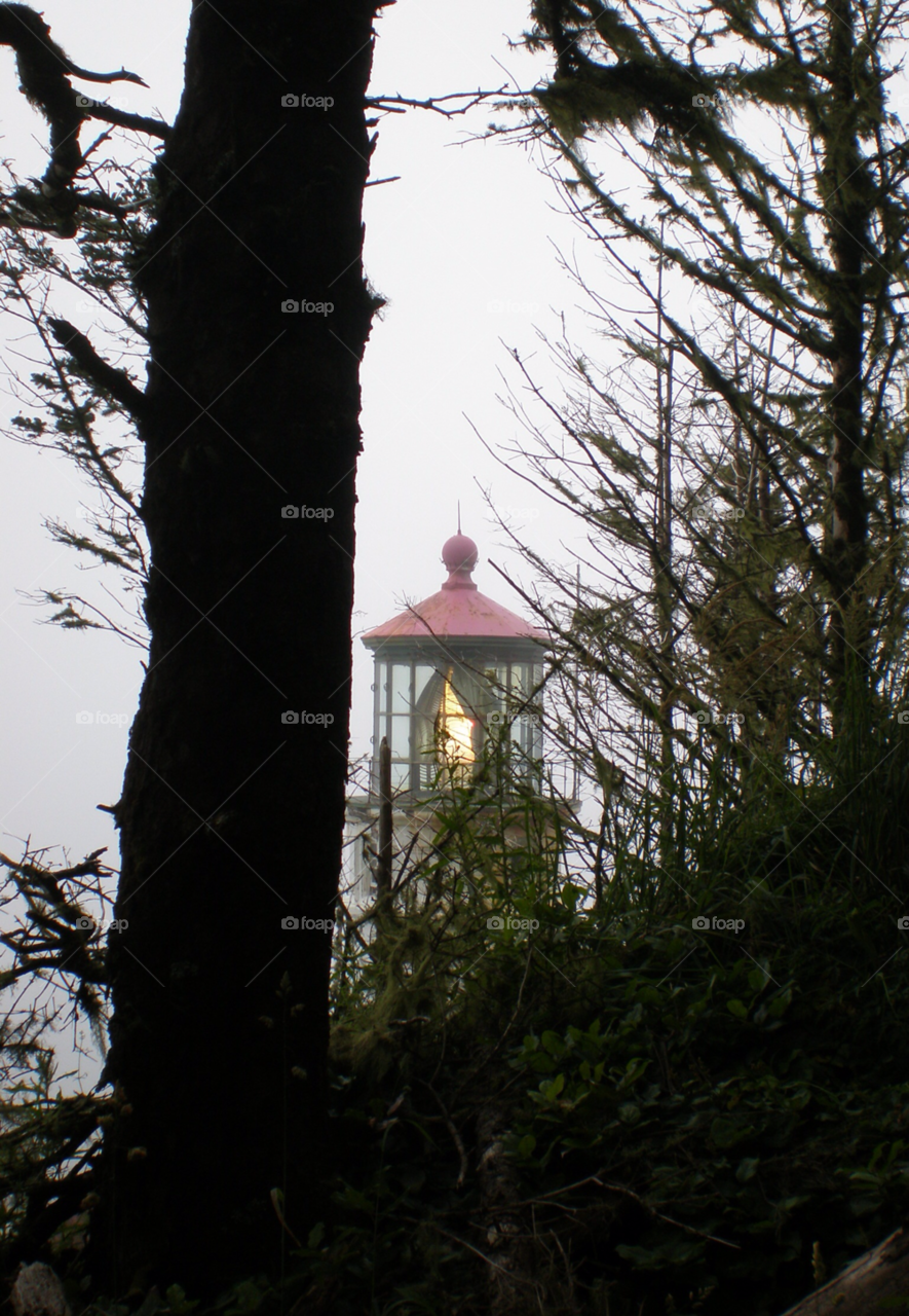 oregon coast coast hilltop forest trees lighthouse by franko23