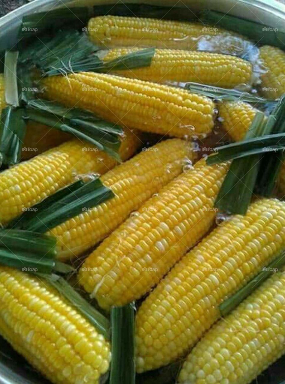 corn