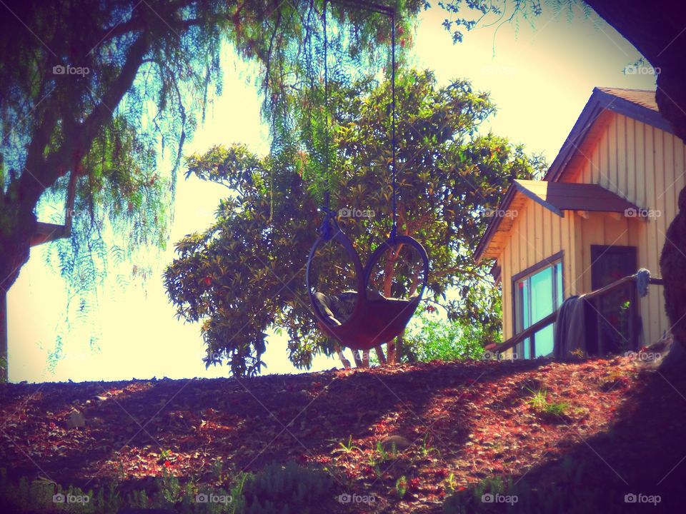 Kalyra Winery California. A tree swing to relax on and enjoy the scenery