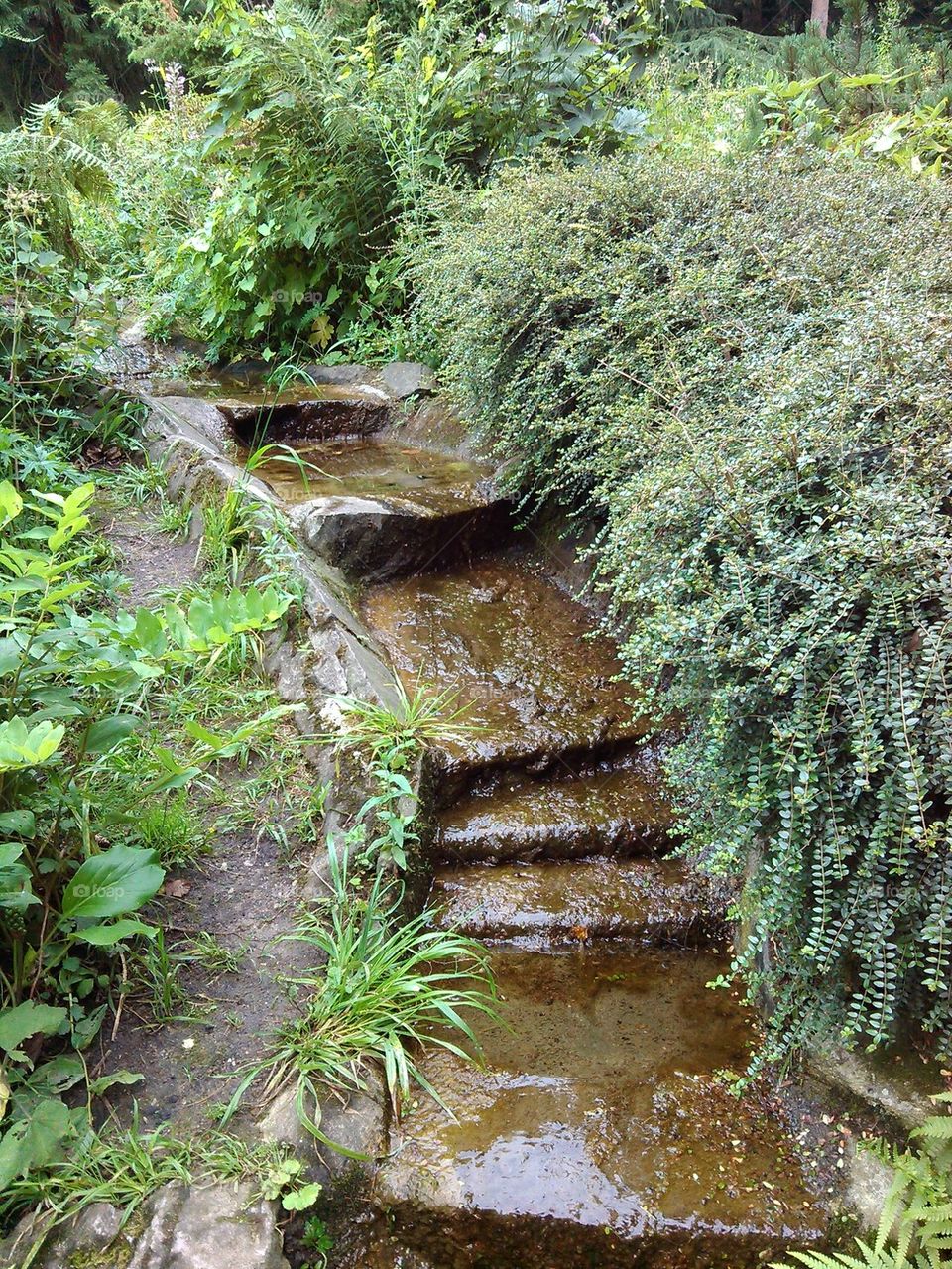 path with streaming water 