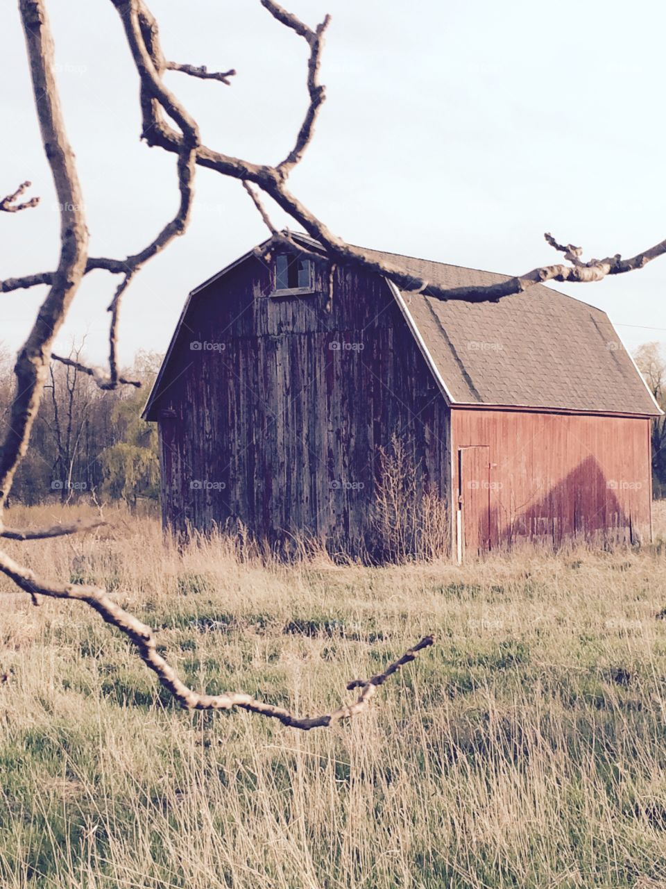 Barn