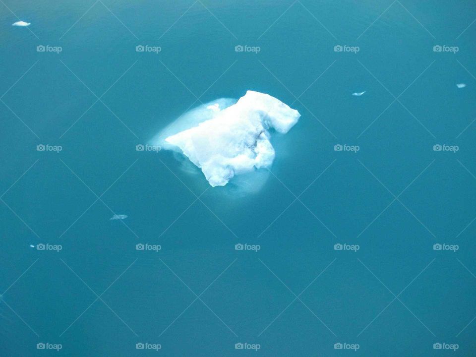 Iceberg on sea