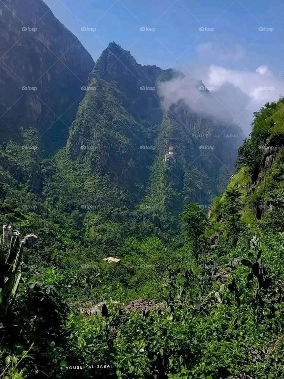 A very beautiful picture, and there is no better picture than it. There is no better picture of green herbs and colorful, red and white roses than it. Glory be to God, the natural and picturesque view, and there is no more
