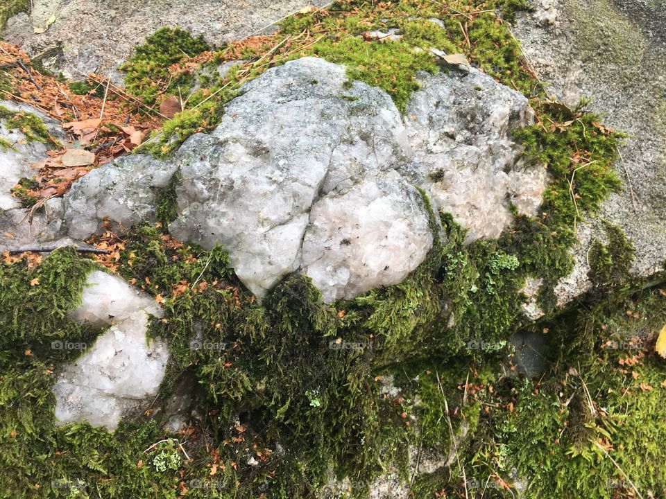 Crystallized rock with some moss